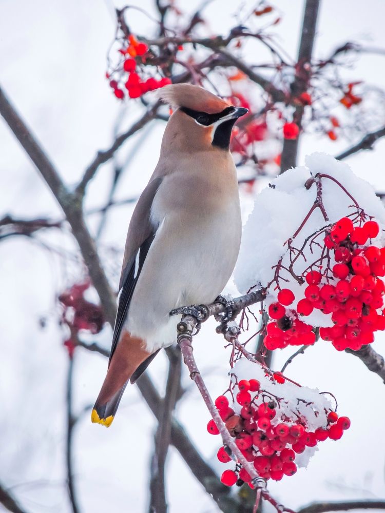 Photograph by Олег Дерябин