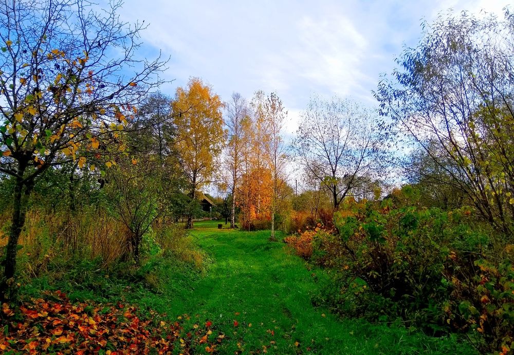 Фотография автора Анжелика Чашинская