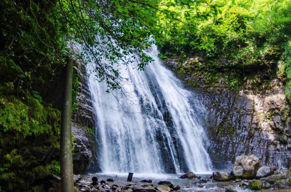 Photograph by Александр Леонов