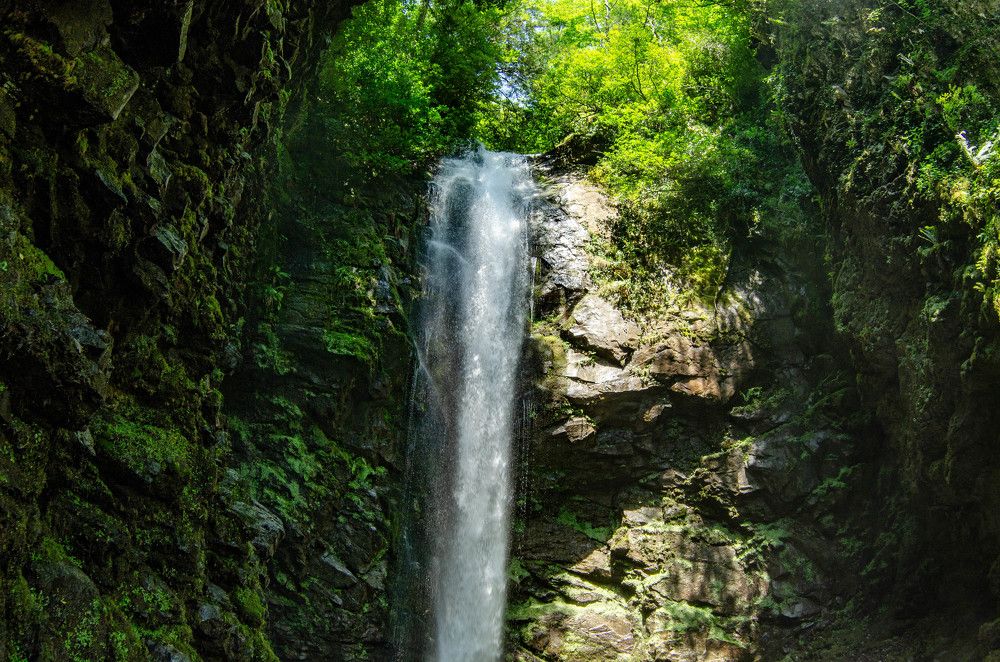 Photograph by Александр Леонов