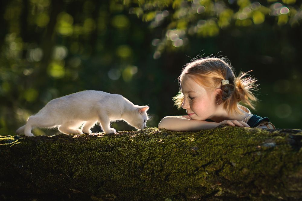 Photograph by Юлия Войнич