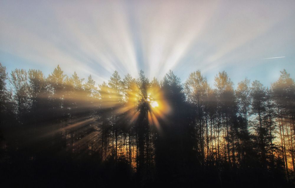 Photograph by 