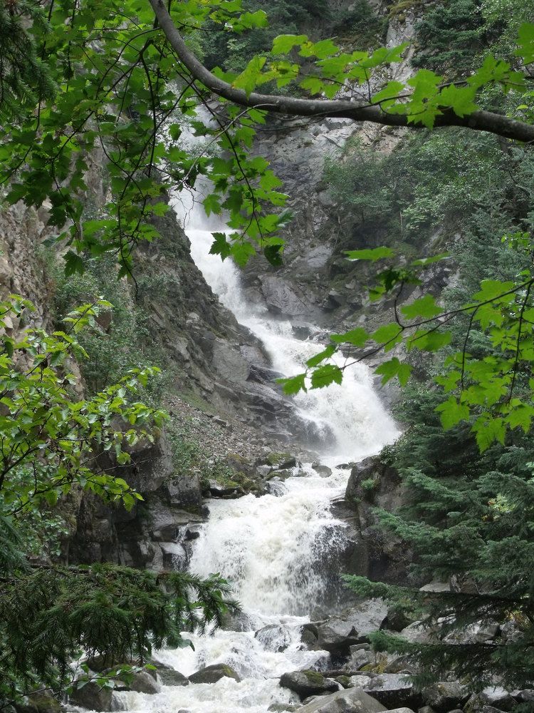 Photograph by Leo Tujak