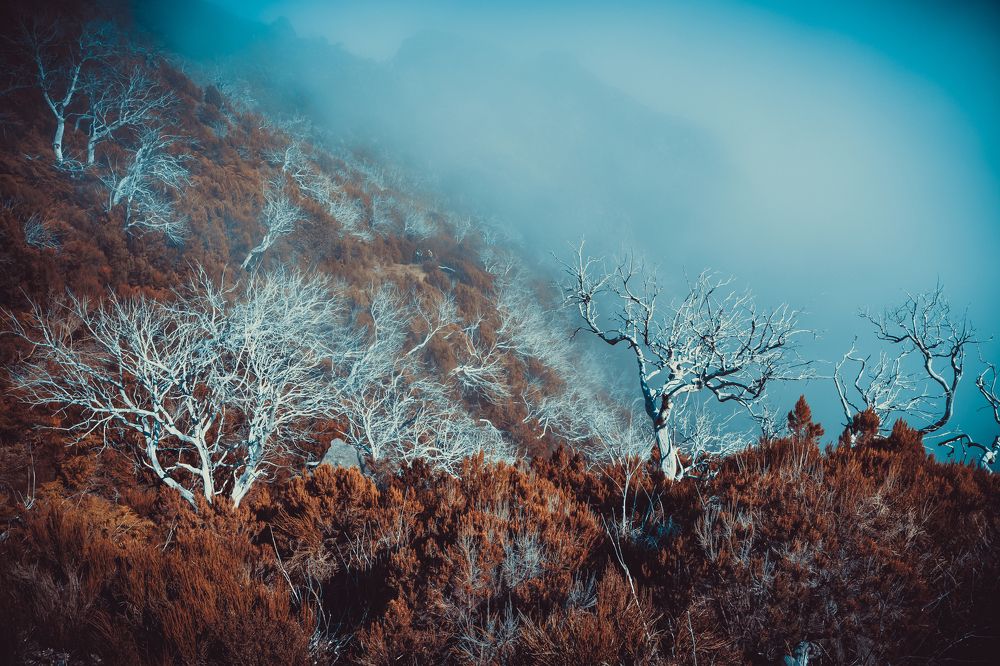 Photo #6812232