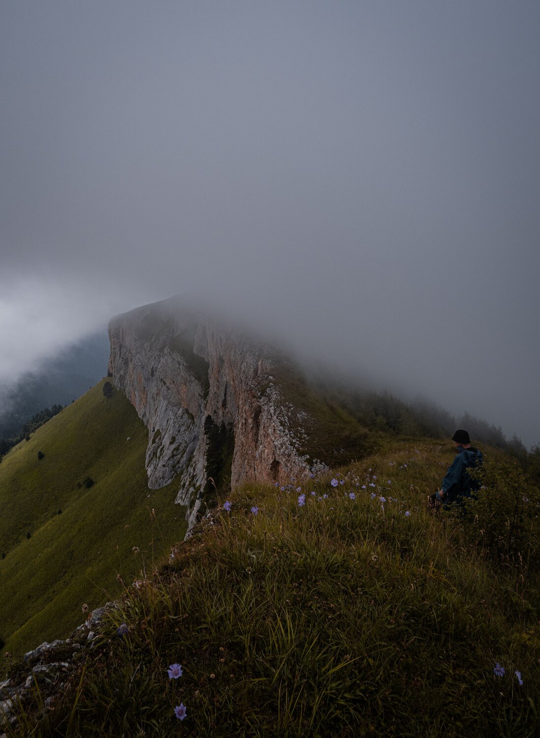 Photo #6812245