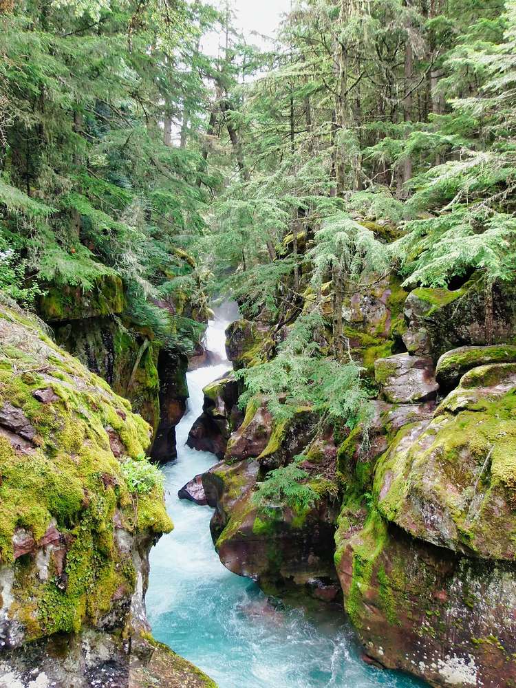 Photograph by Leo Tujak