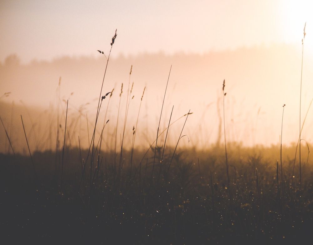 Photograph by Katherine Einarsson