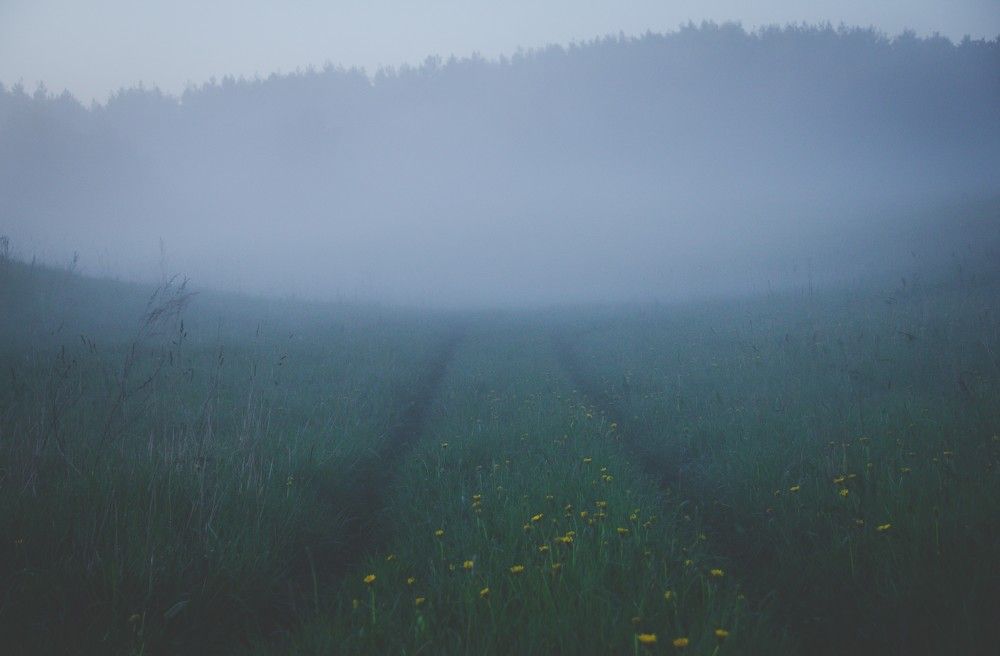 Photograph by Katherine Einarsson