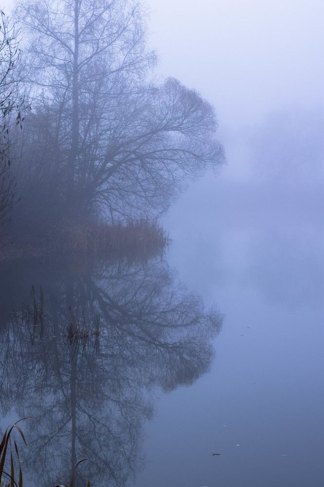 Photograph by Юлия Субботина