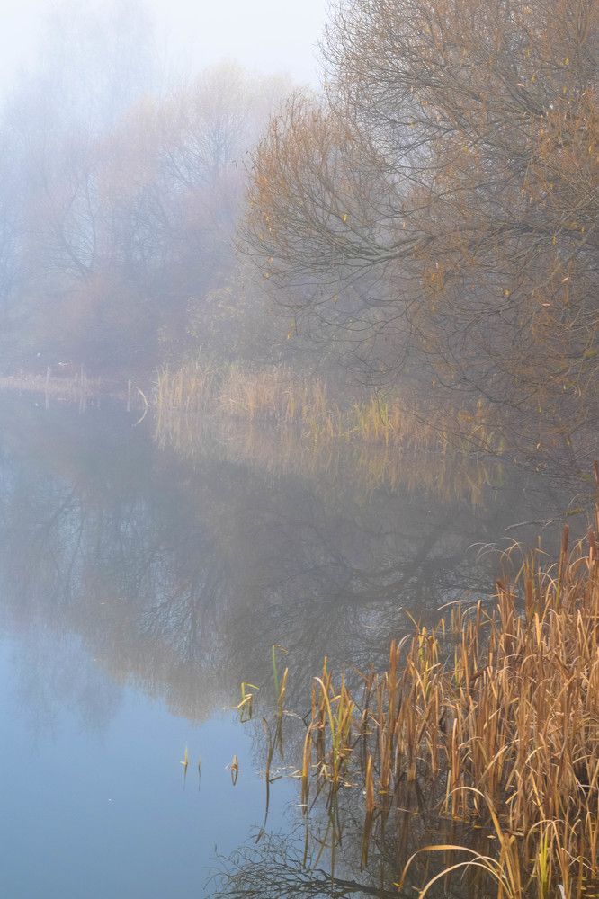 Photograph by Юлия Субботина