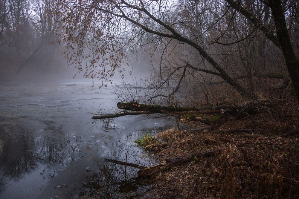Фотография автора Валерий Лушин