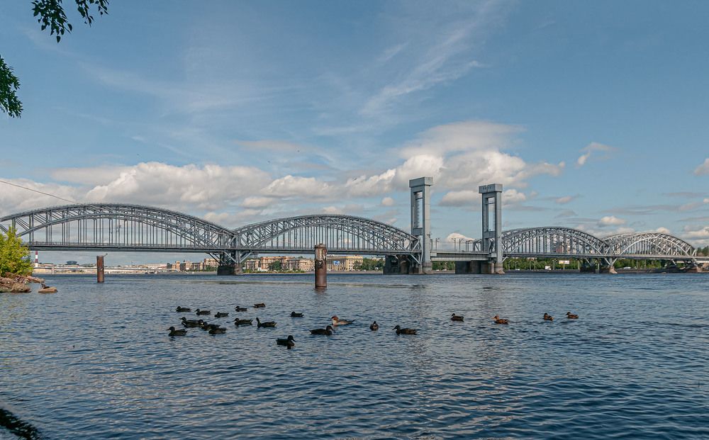 Photograph by Vladimir  Komarov