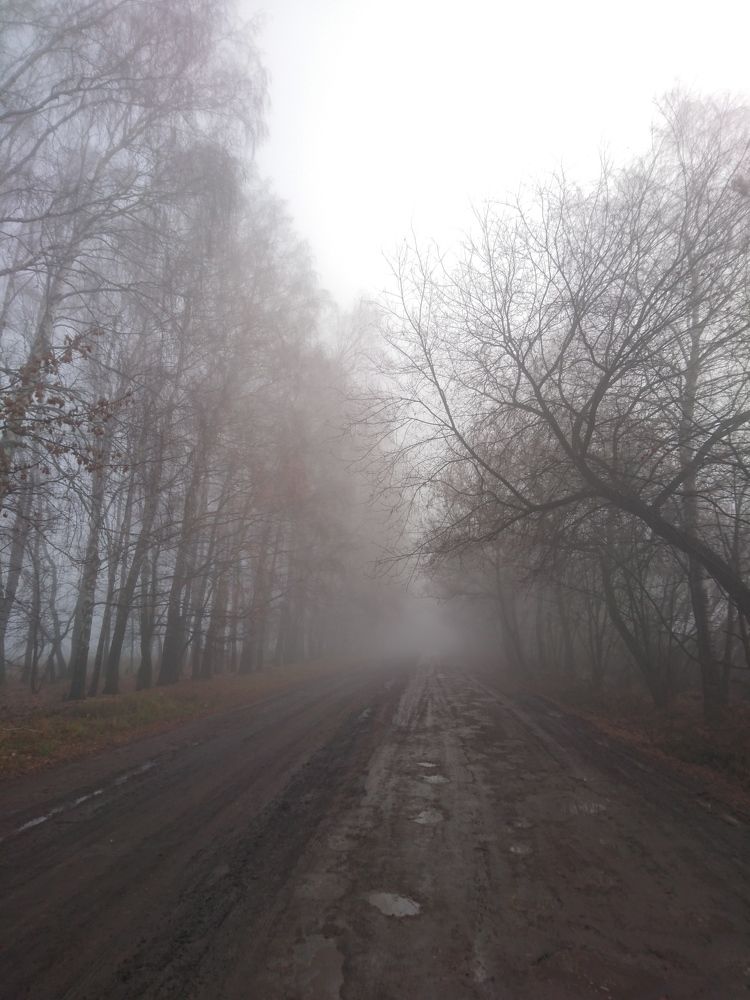 Photo #6812474