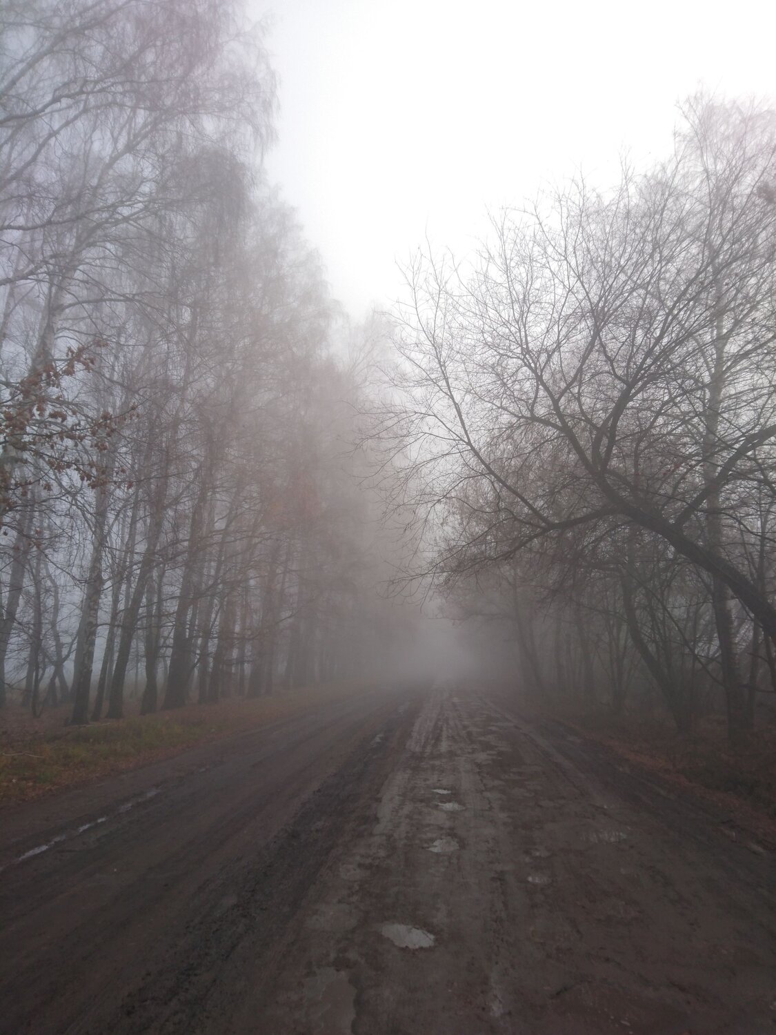 Photo #6812474