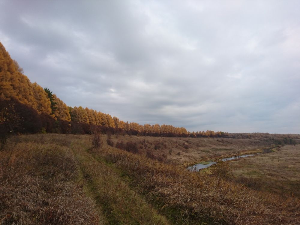 Photo #6812502