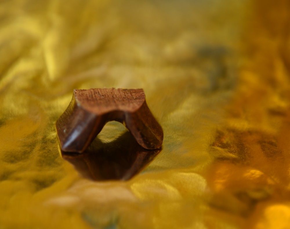 Фотография автора Ася Бабушкина