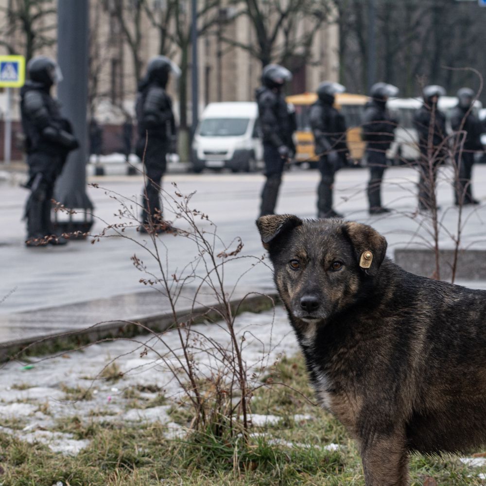 Фотография автора Антон Караваев