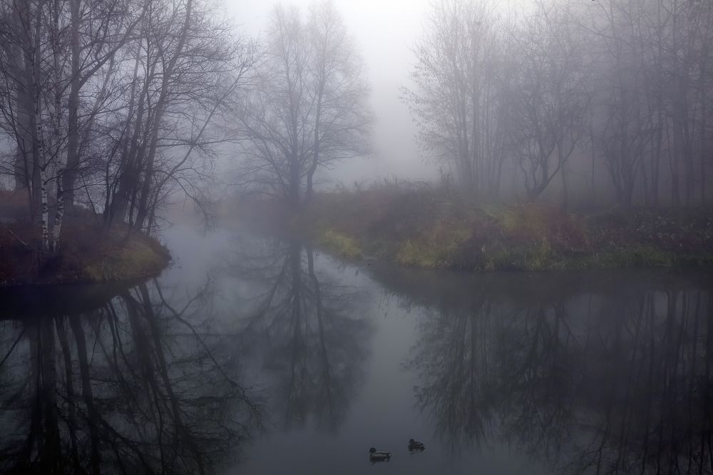 Фотография автора Dmitry Finkel