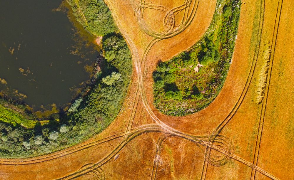 Photograph by Павел Минкевич