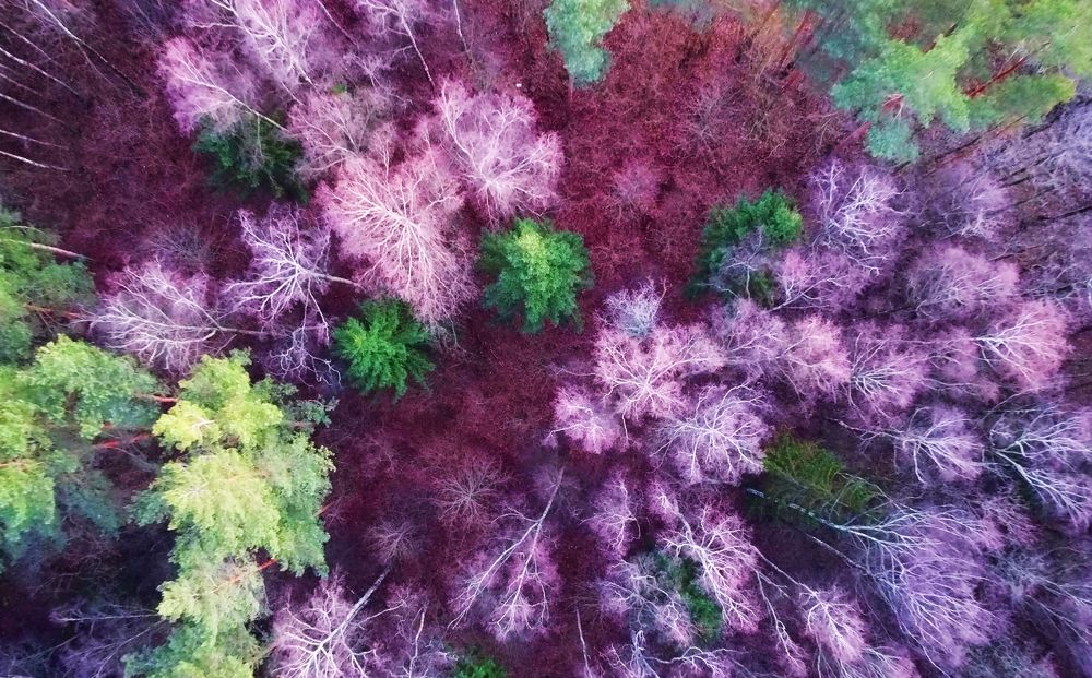 Photograph by Павел Минкевич