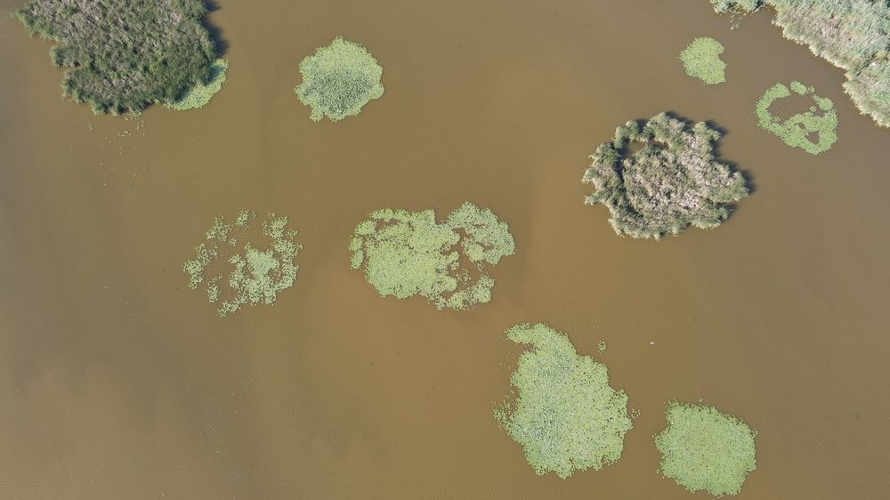 Photograph by stevan zaric