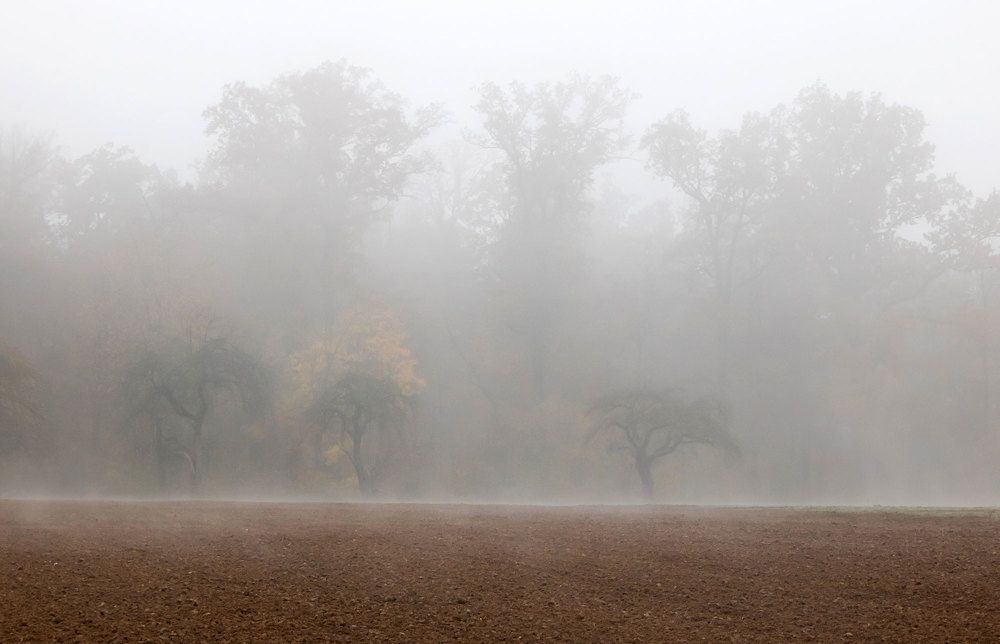 Photograph by Людмила Кучера