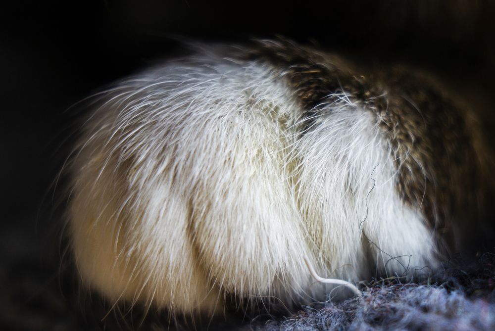 Photograph by Павел Минкевич