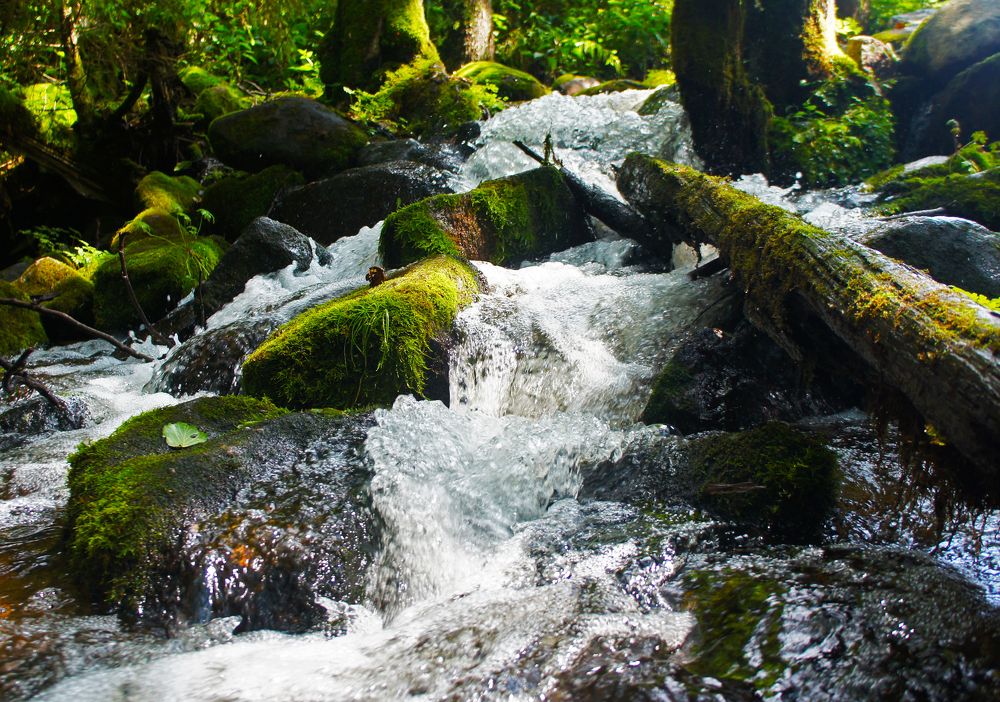 Photograph by Павел Минкевич