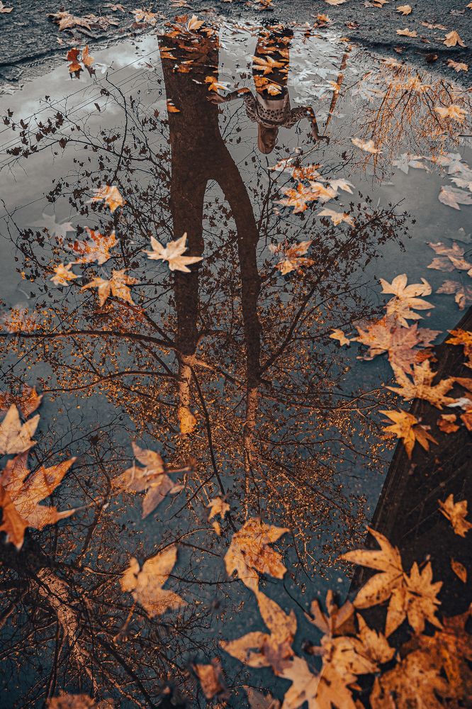 Photograph by Ольга Кудина