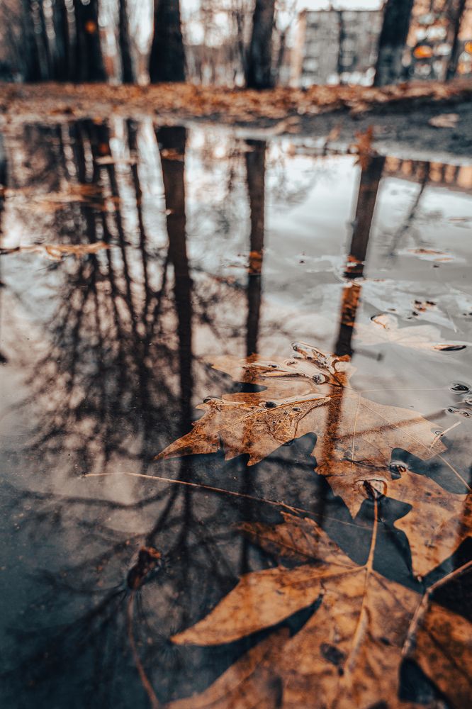 Photograph by Ольга Кудина