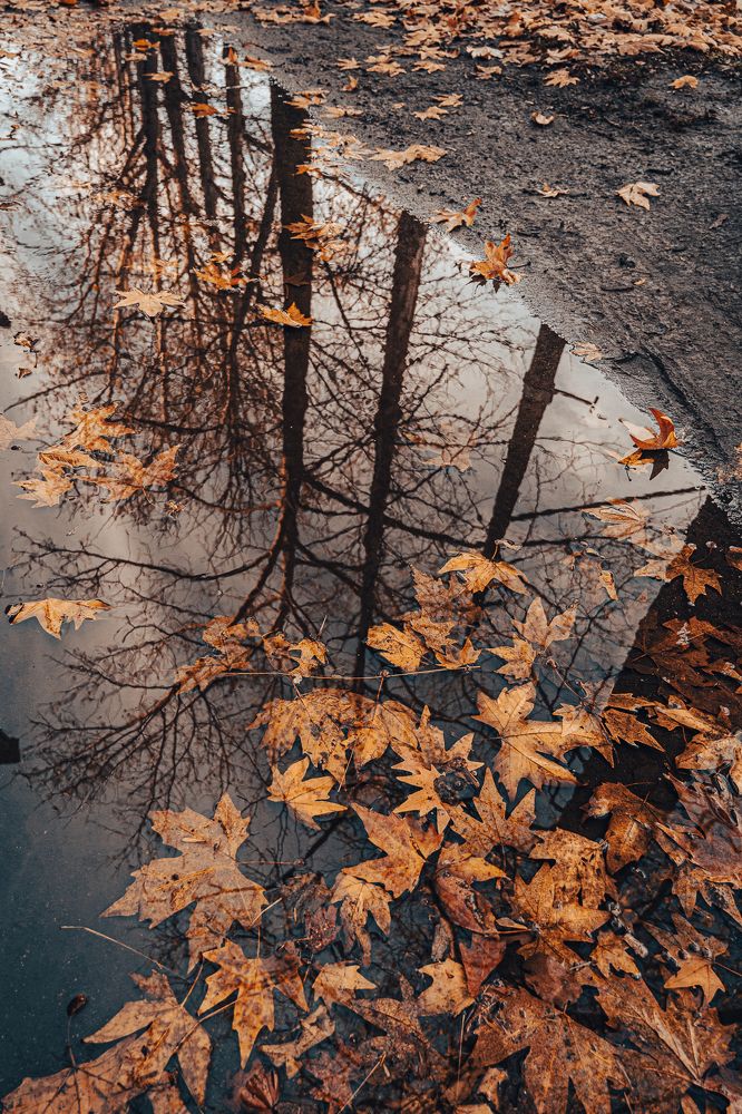 Photograph by Ольга Кудина