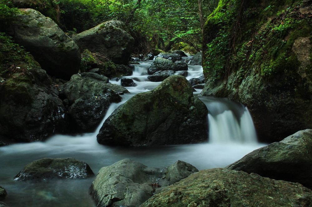 Фотография автора hasan sorena jouri