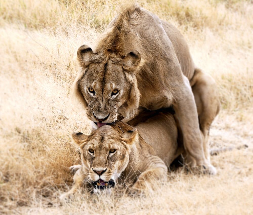 Photograph by Aldo Galante