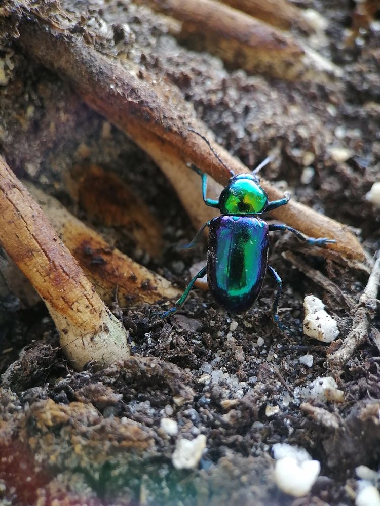 Photograph by Гонтарь Александра