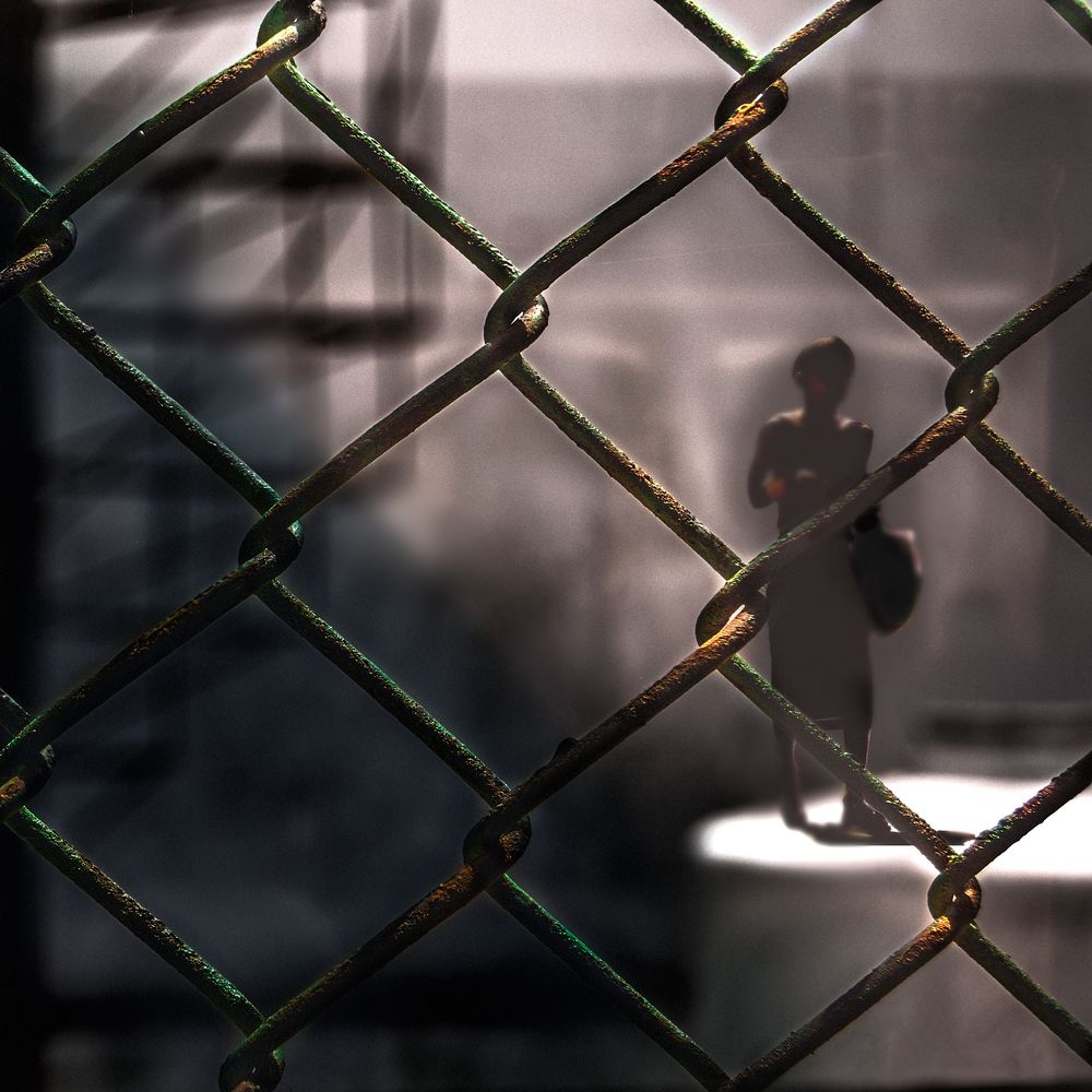 Фотография автора Tomas Manuel Fonte Hernandez