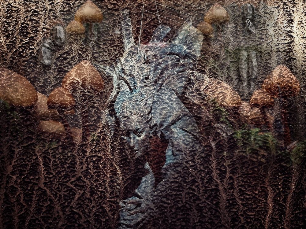 Photograph by Natali