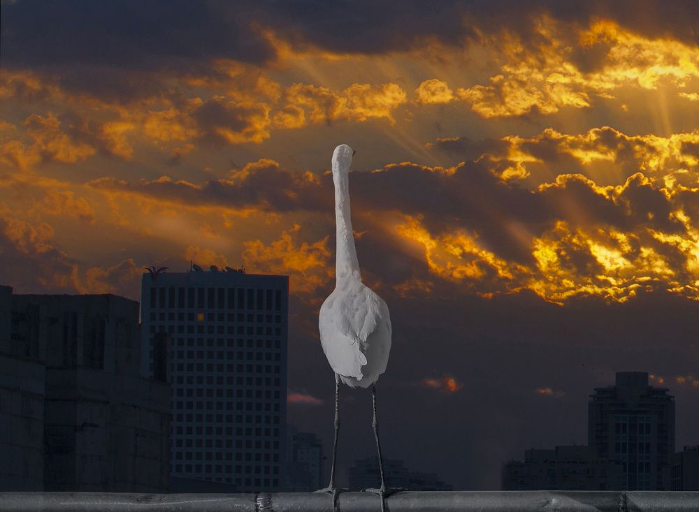 Photograph by Leonid Lan