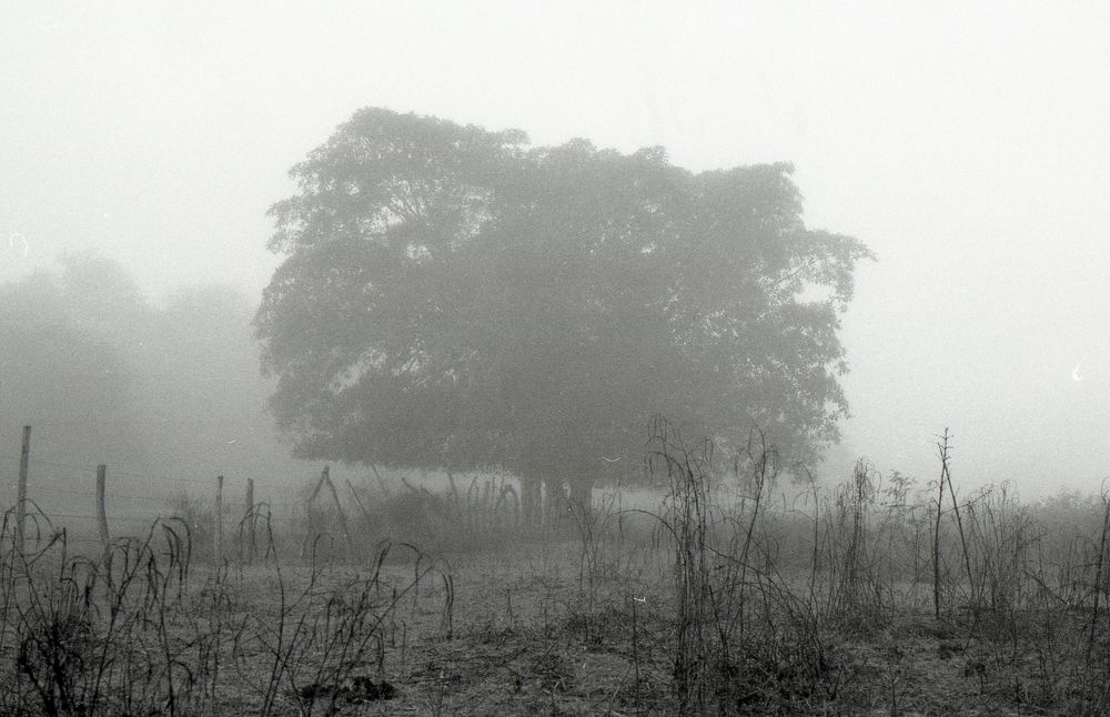 Photograph by hugo armando beltran sojo