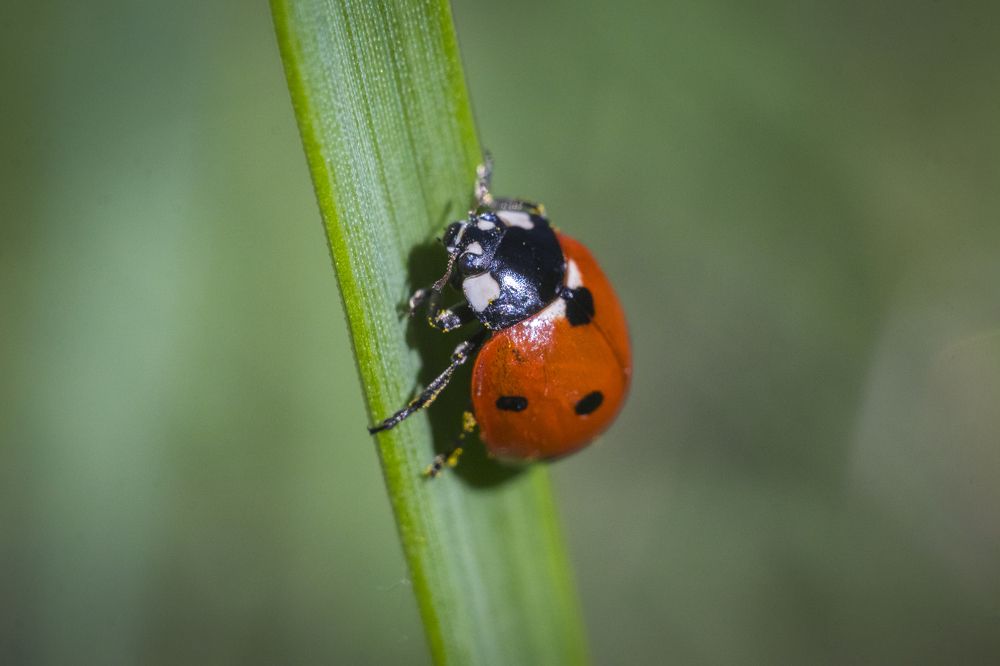 Photograph by Дмитрий Тимин