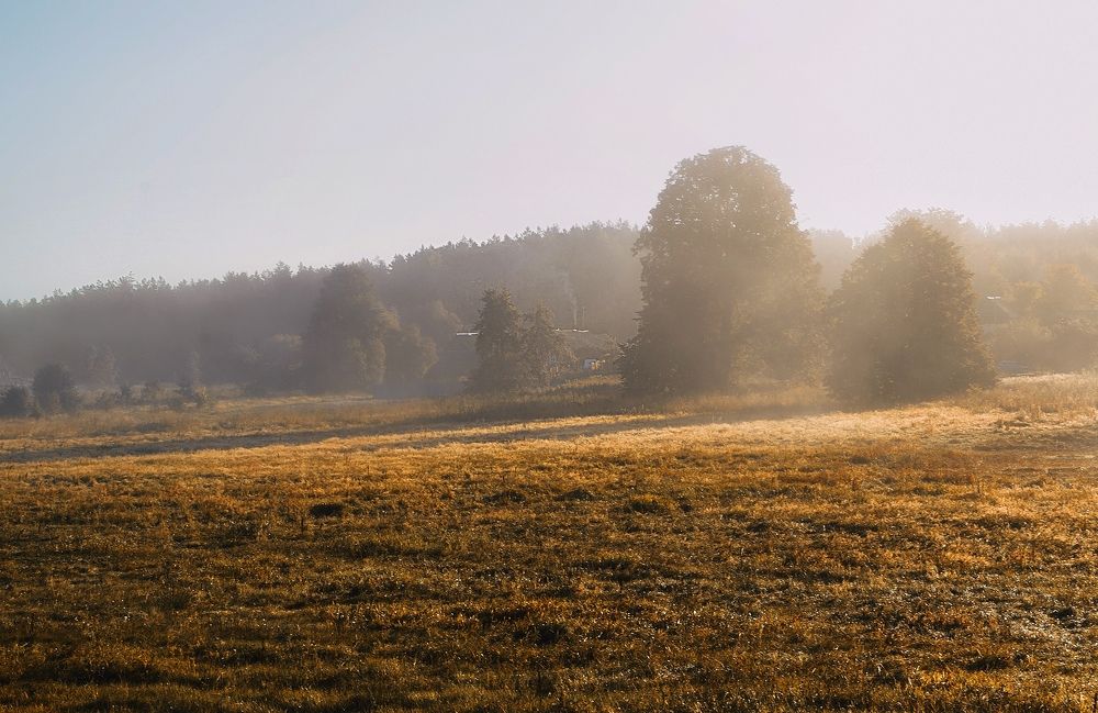 Photograph by Анастасия Лагуновская