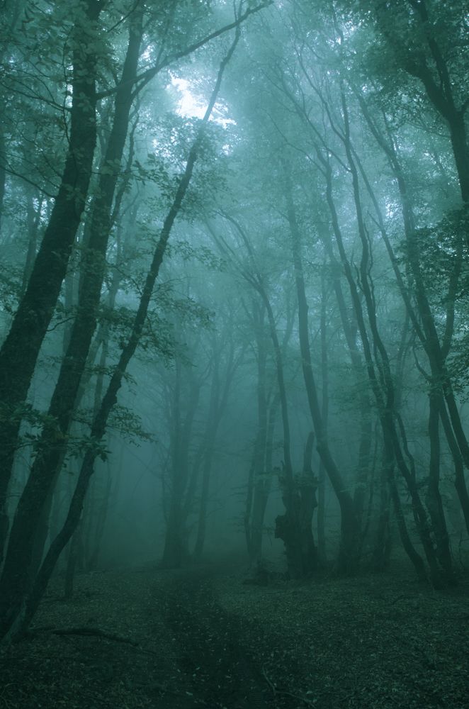Фотография автора Андрей Перевозчиков