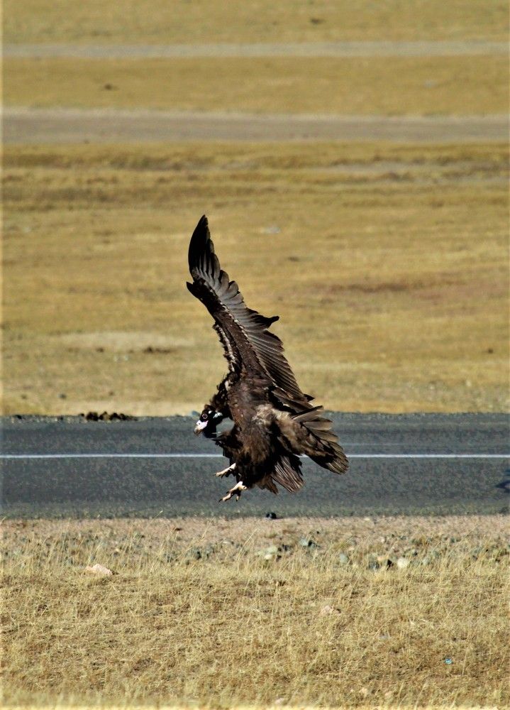 Photograph by jugder