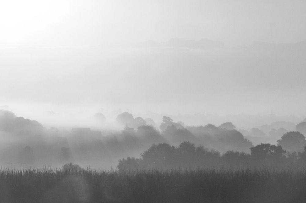 Photograph by Terry Hi