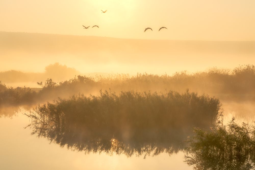 Photograph by Arie Burla