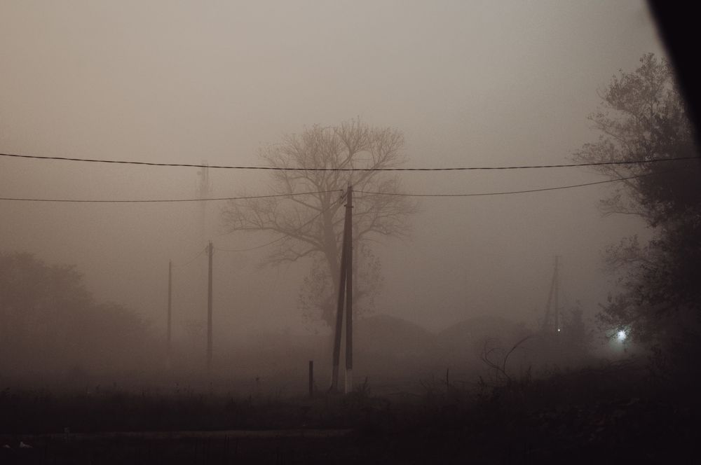 Photograph by Дарья Беляк