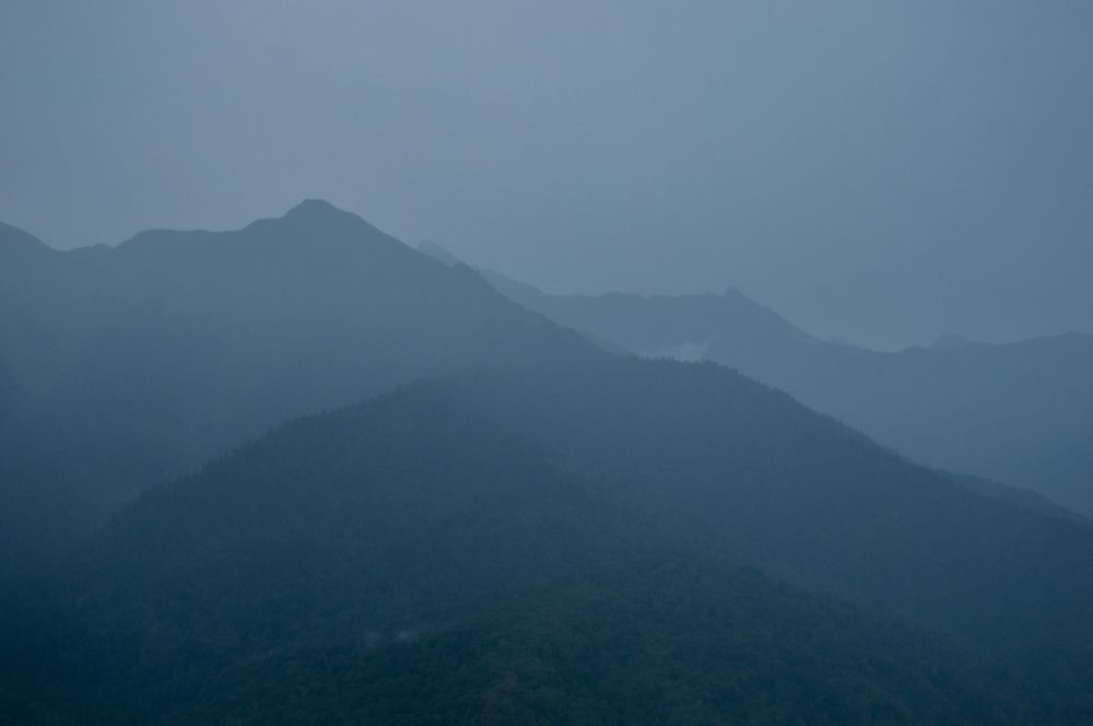 Photograph by Дарья Беляк