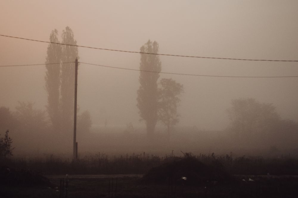 Photograph by Дарья Беляк