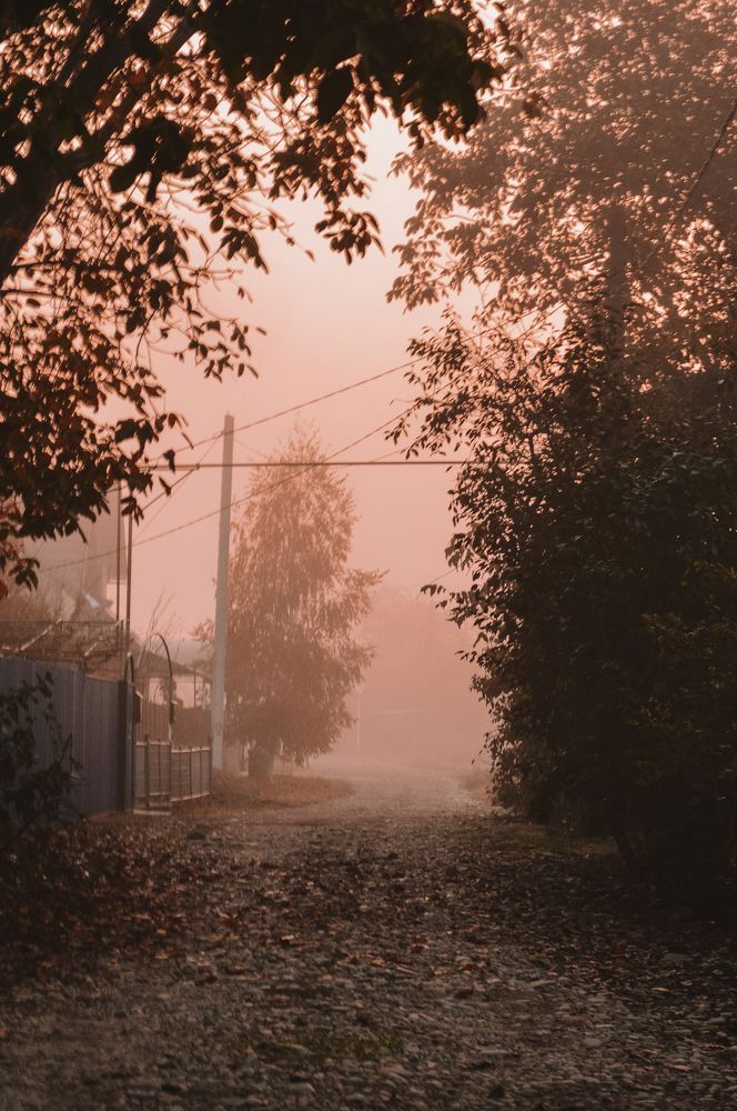 Photograph by Дарья Беляк