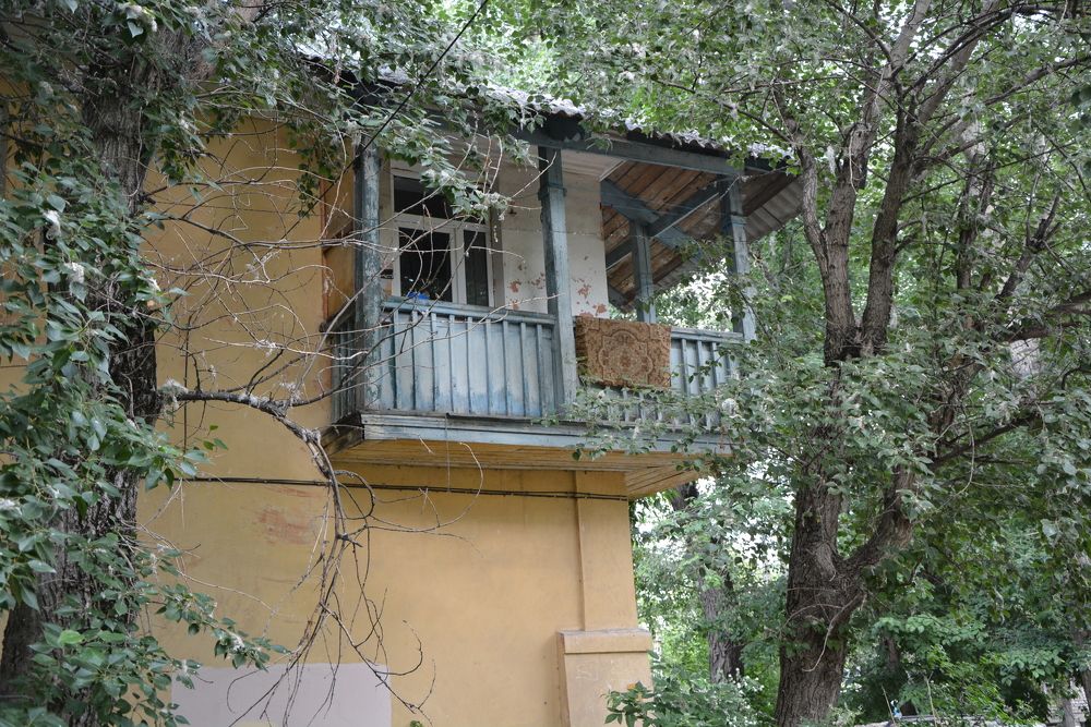 Photograph by Светлана Немонтова