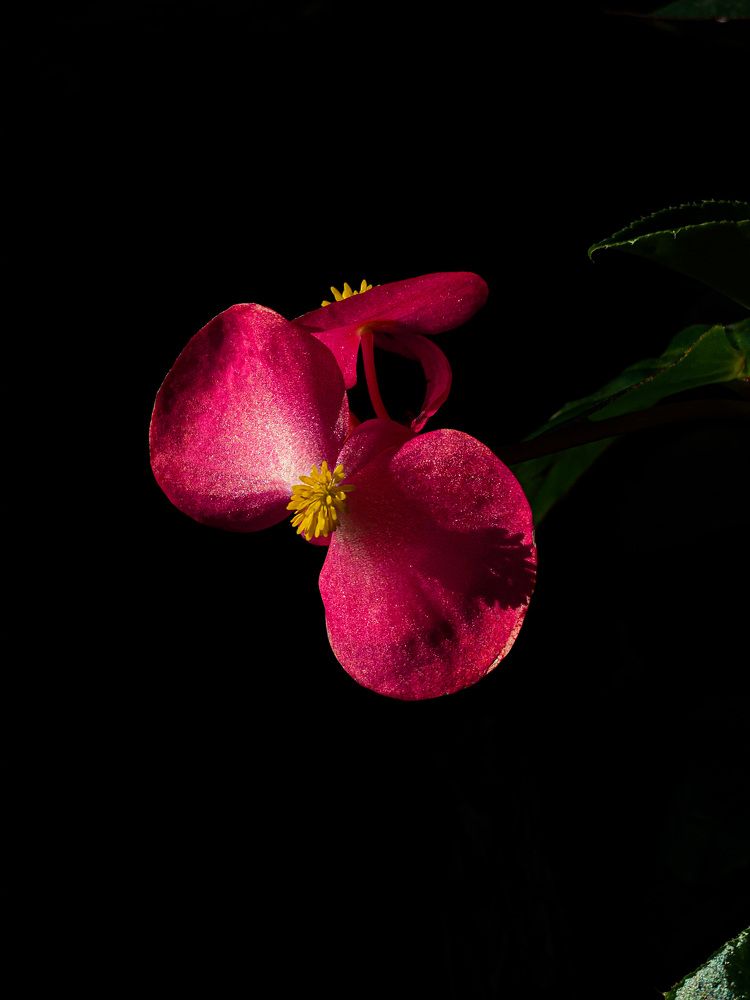 Photograph by дарья клявлина